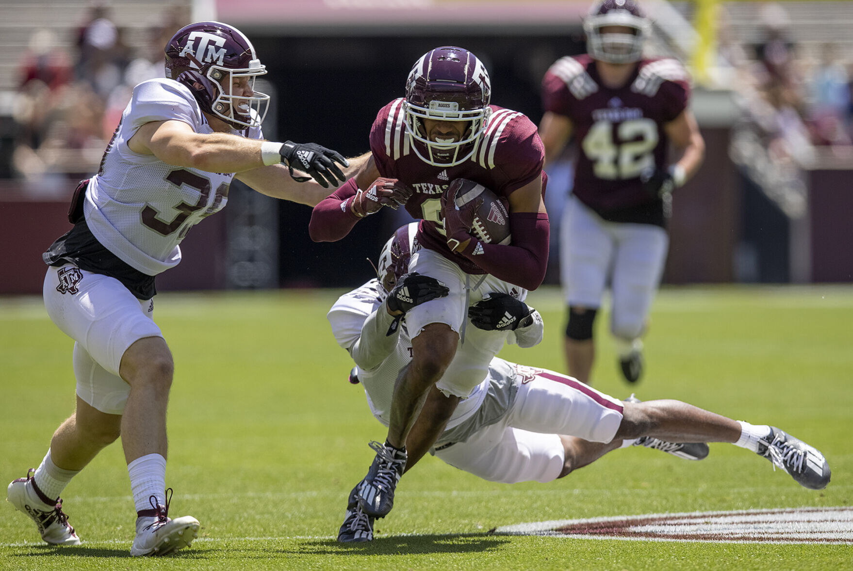 Maroon & White